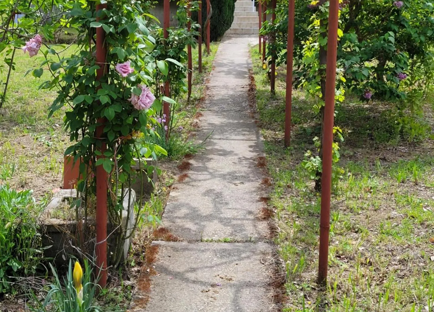 וארנה Villa Mimi 0*,  בולגריה